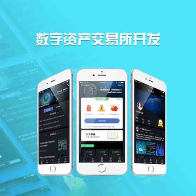 移動定制手機軟件與計算機軟硬件技術(shù)開發(fā) 新時代的數(shù)字化驅(qū)動力